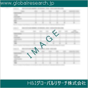 グローバルリサーチ調査資料のイメージ